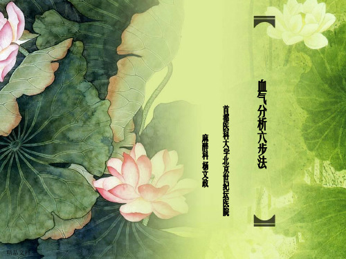 血气分析六步法杨文政幻灯片PPT