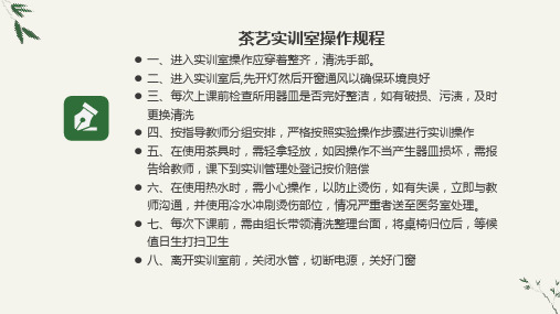 茶艺3-冲泡流程