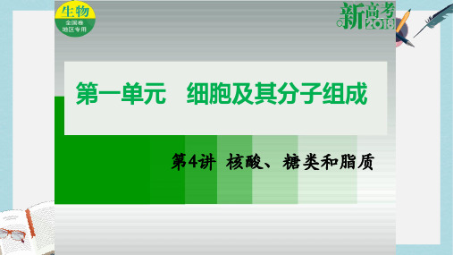 全国卷地区专用2018高考生物总复习第一单元细胞及其分子组成第4讲核酸糖类和脂质课件