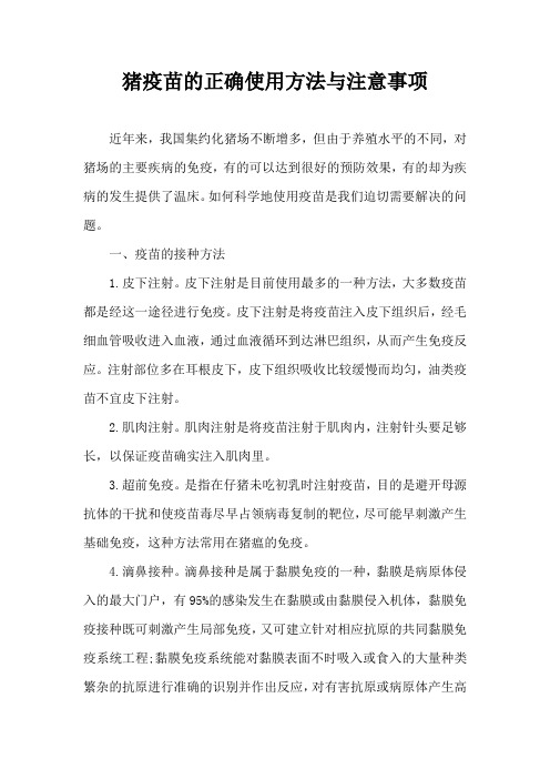 猪疫苗正确使用方法与注意事项