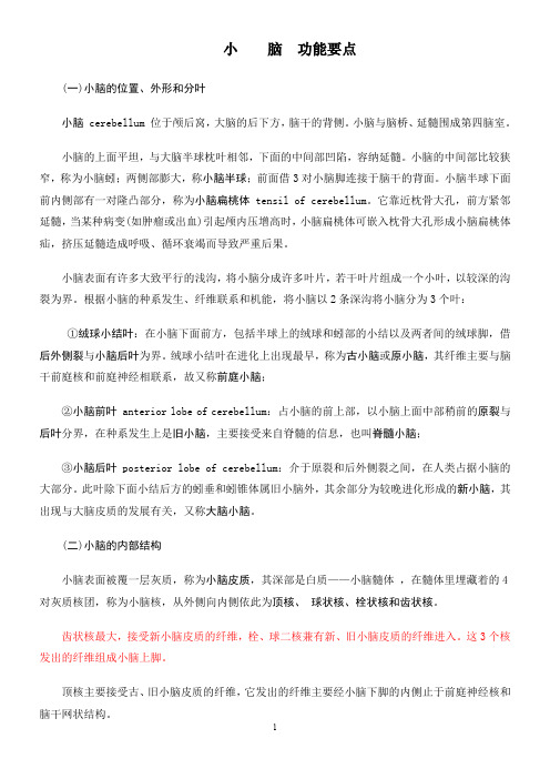 小脑功能要点