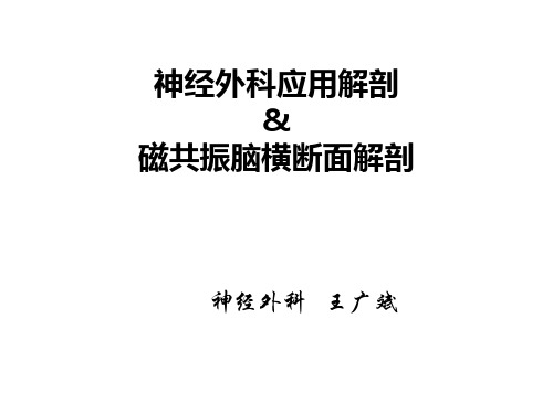 神经外科应用解剖