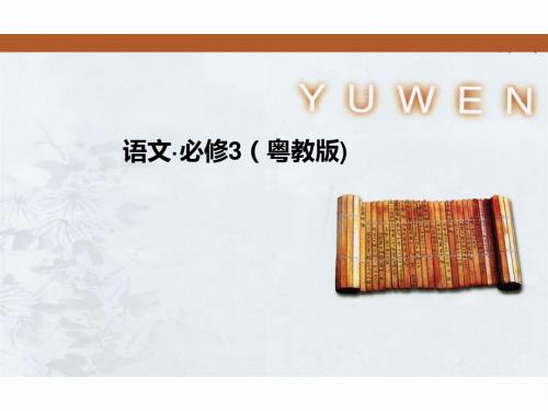 奇妙的超低温世界PPT12