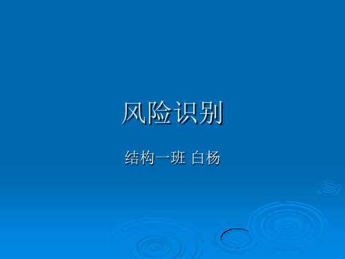 风险识别PPT