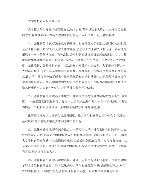 大学生村官培养计划文档