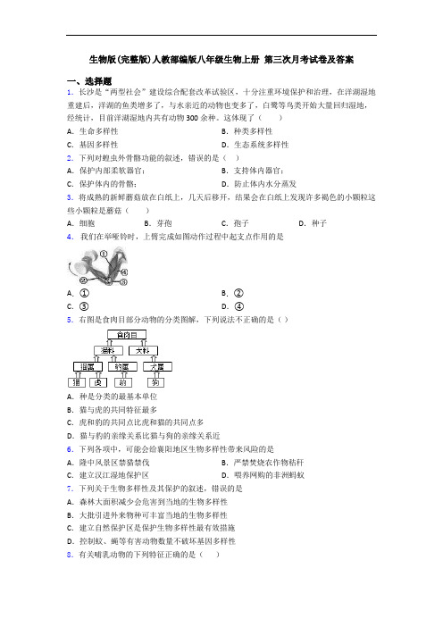 生物版(完整版)人教部编版八年级生物上册 第三次月考试卷及答案