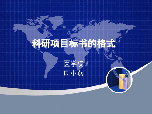 科研项目标书格式