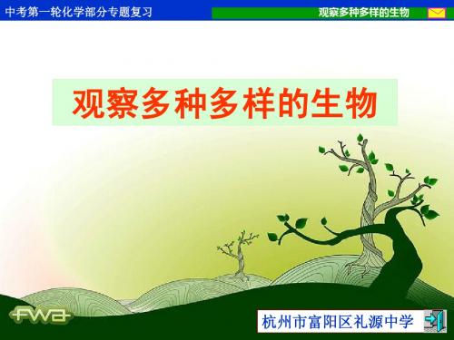 观察多种多样的生物
