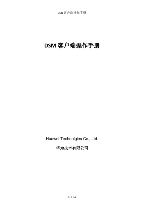 DSM客户端操作手册