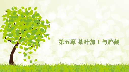 5,茶叶加工与贮藏