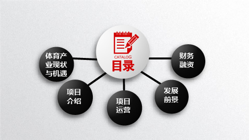 梦想计划--体育产业+PPT幻灯片