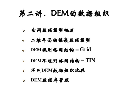 中国地质大学数字地面模型第2章数据组织模型