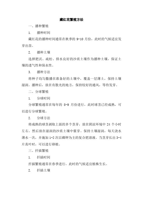 藏红花繁殖方法