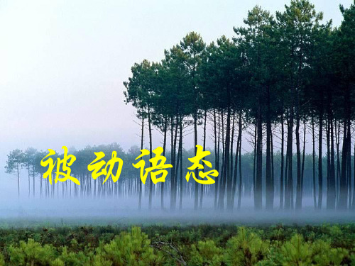 外研必修三 Module 1 被动语态