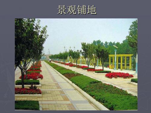景观设计_铺地