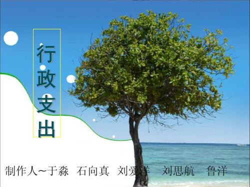 关于我国财政支出的问题及解决办法