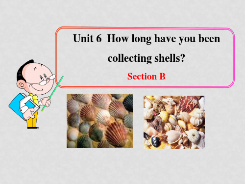 八年级英语下册 Unit 6 How long have you been colle