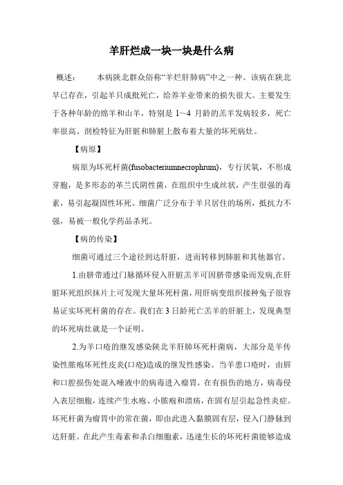 羊肝烂成一块一块是什么病.doc