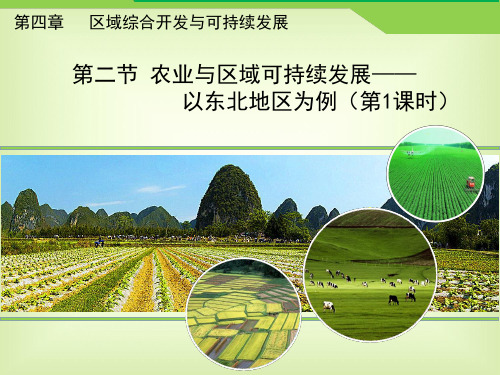 鲁教版高中地理必修三4.2《农业与区域可持续发展——以东北地区为例》课件(第1课时) (共22张PPT)