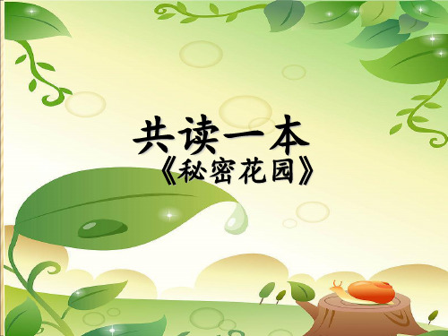 秘密花园读书交流会PPT课件