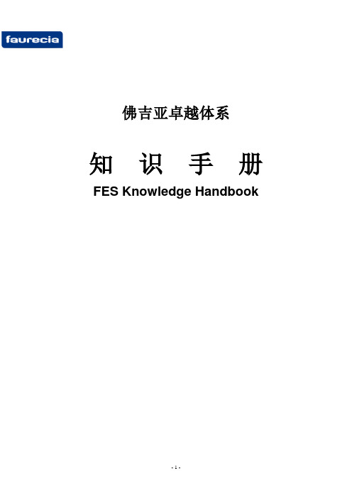 FES手册