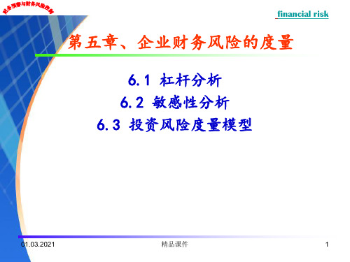 第五章企业财务风险的度量ppt课件