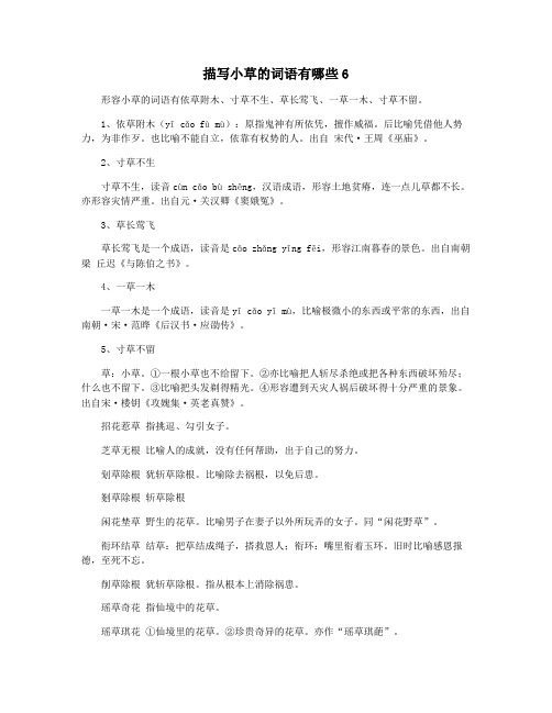 描写小草的词语有哪些6
