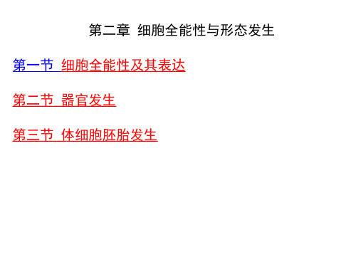 细胞全能性
