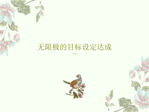 无限极的目标设定达成共25页文档