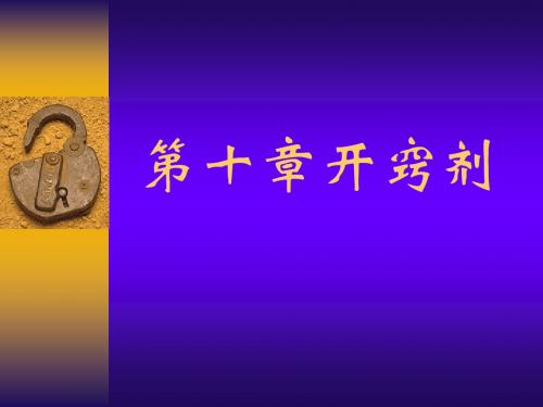 13开窍剂