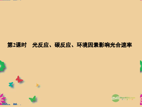 高中生物 3-5-2光反应、碳反应、环境课件 必修1