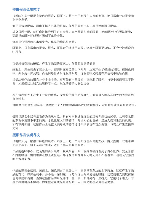 环境摄影作品简介范文