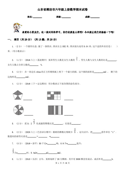 山东省潍坊市六年级上册数学期末试卷