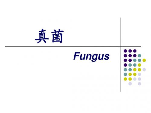 真菌