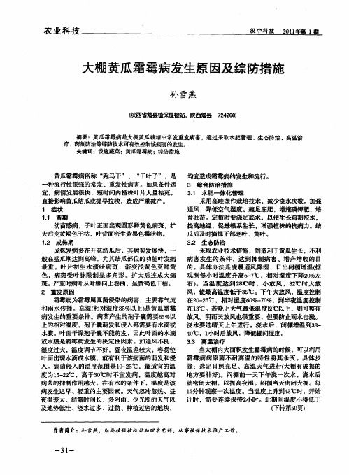 大棚黄瓜霜霉病发生原因及综防措施