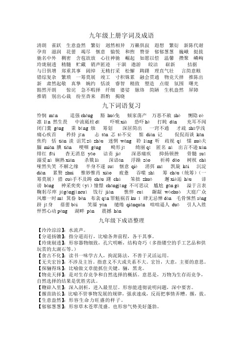 九上词语成语