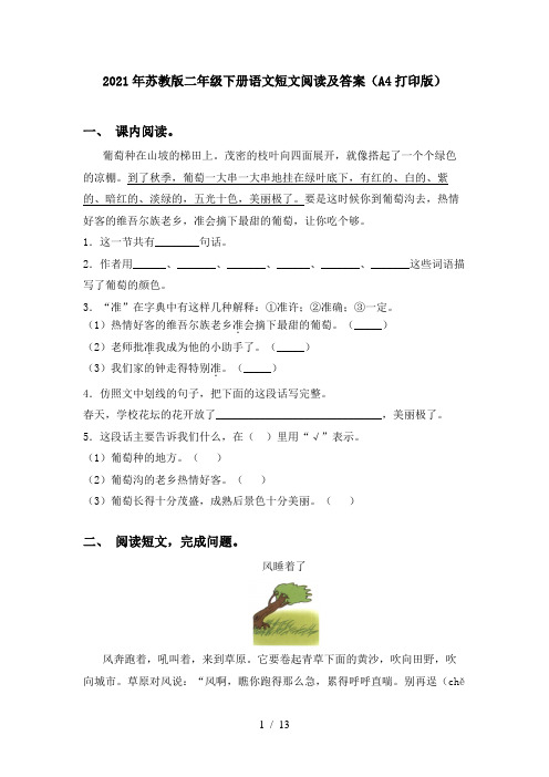 2021年苏教版二年级下册语文短文阅读及答案(A4打印版)
