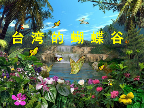 台湾的蝴蝶谷