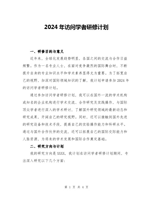 2024年访问学者研修计划