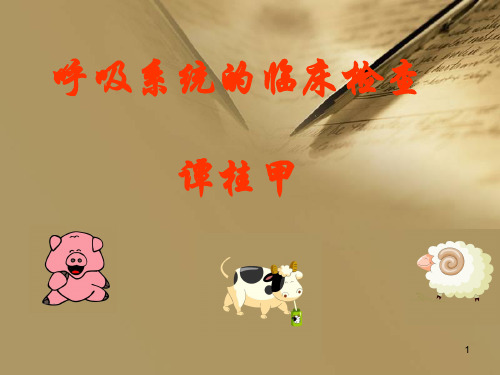 呼吸系统检查PPT课件