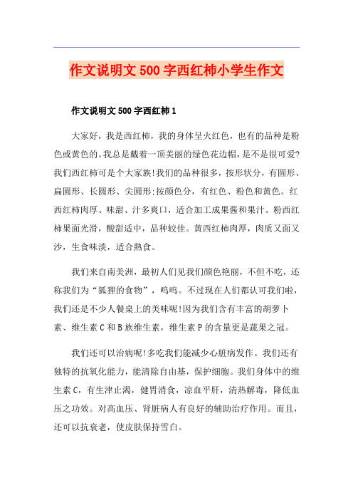 作文说明文500字西红杮小学生作文