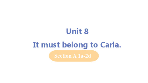 人教版九年级英语下册第八单元Unit8 Section A (1a-2d)教学PPT课件