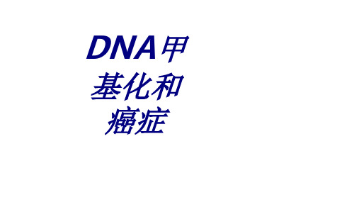 DNA甲基化和癌症PPT培训课件