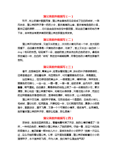蒲公英的外貌描写100字