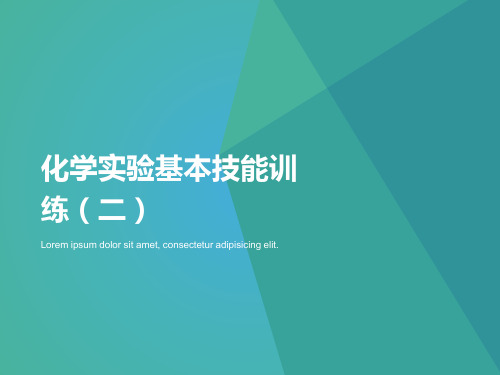 初中-化学-鲁教版-实验技能训练二