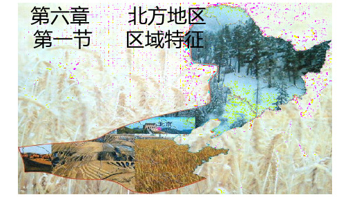 北方地区区域特征优秀课件
