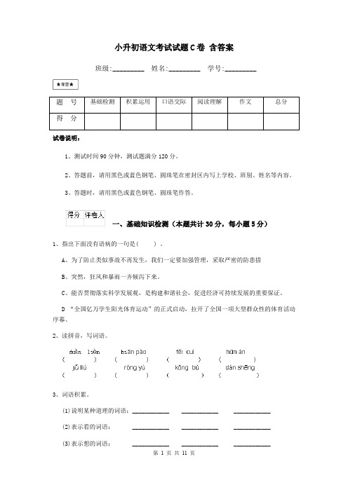 小升初语文考试试题C卷 含答案