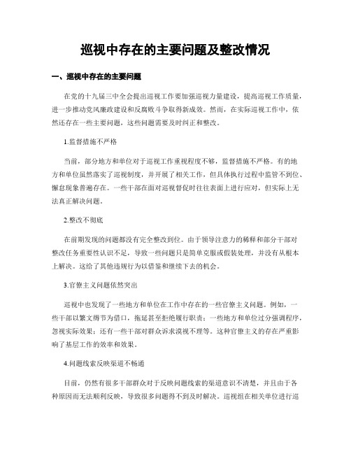巡视中存在的主要问题及整改情况