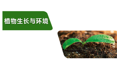 植物细胞增殖、生长、分化