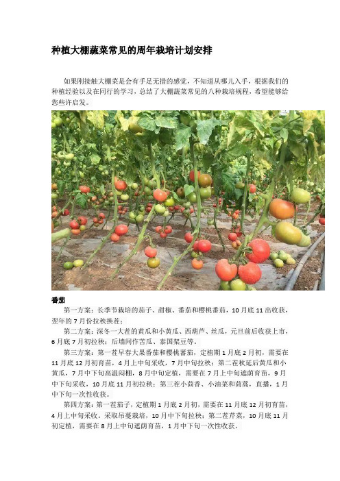 种植大棚蔬菜常见的周年栽培计划安排